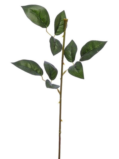 Łodyga do róży 3 lvs 60cm  MY75 green