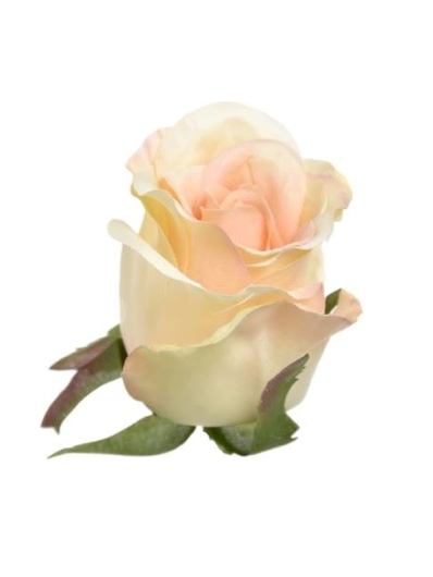 RÓŻA W PĄKU GŁÓWKA 6CM SUN412 REAL PEACH