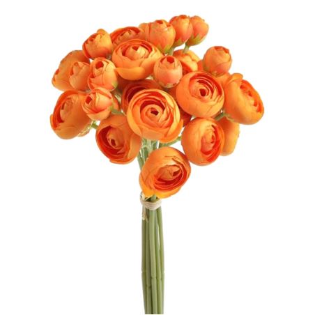 PEŁNIK JASKIER PĘCZEK  30 CM PURE ORANGE