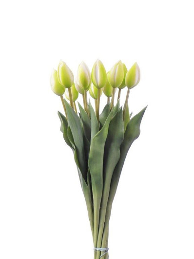 TULIPAN POJEDYNCZY GUMOWANY 42CM WHITE GREEN