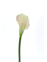 CALLA p./0312 Z-4