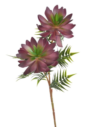 SUKULENTY NA GAŁĄZCE 42CM BURGUNDY GREEN