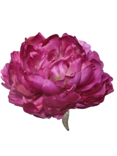 PEONIA WYROBOWA 15CM SUN406 DEEP FUCHSIA