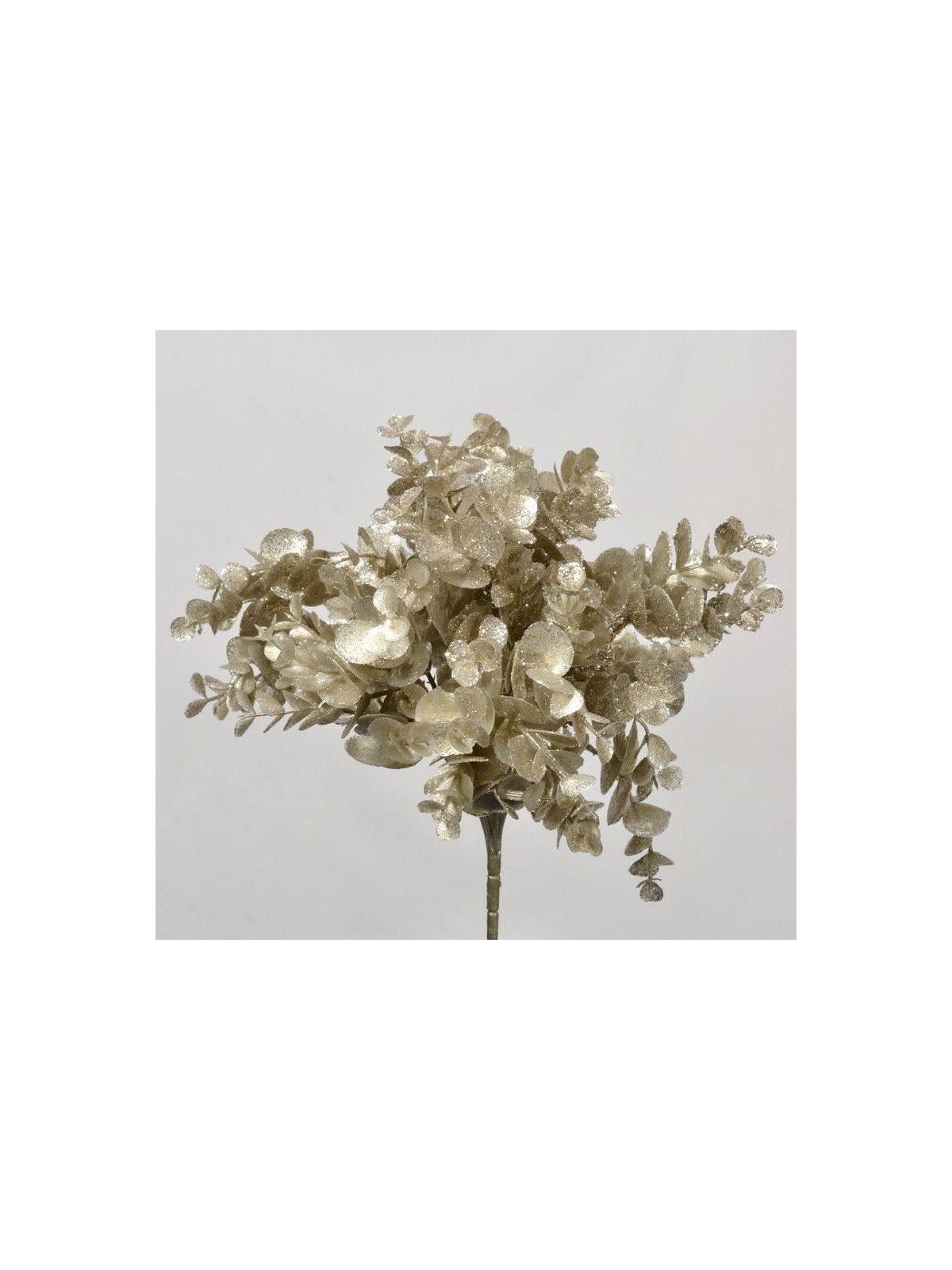 BUKIET EUKALIPTUS BROKATOANY 30CM CHAMPAGNE