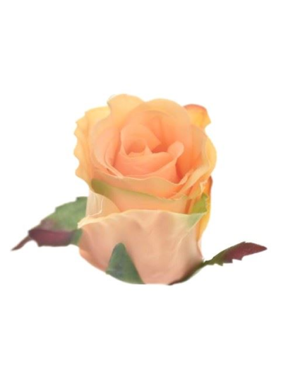 RÓŻA W PĄKU GŁÓWKA 6CM SUN412 LT TEA