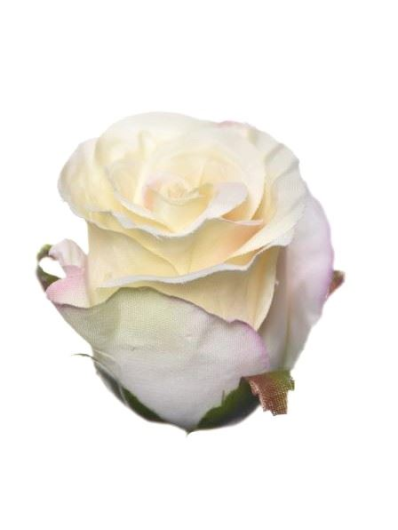 RÓŻA W PĄKU GŁÓWKA 6CM SUN412 VANILLA PUDING