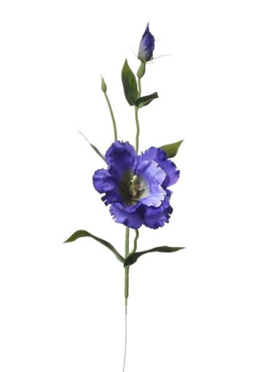 EUSTOMA NA PIKU 47CM SUN357 DR.BLUE