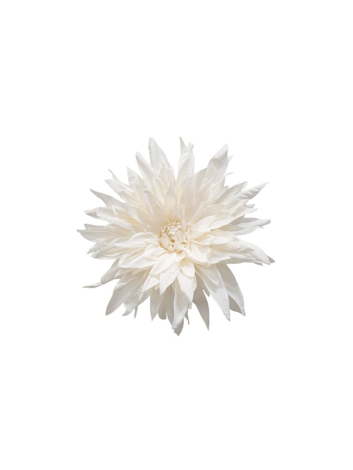DALIA VINTAGE GŁOWA 19CM OLD CREAM
