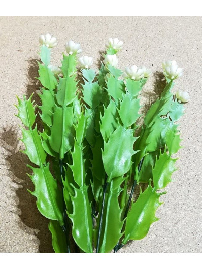 Galązka kaktus z kwiatkami "grudzień" 40cm white