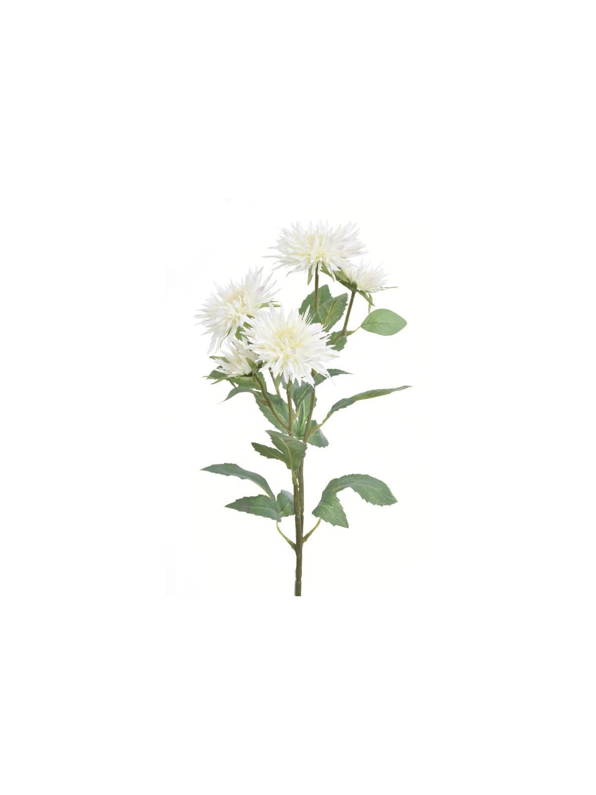 GAŁĄZKA ASTER 70CM SUN662 WHITE