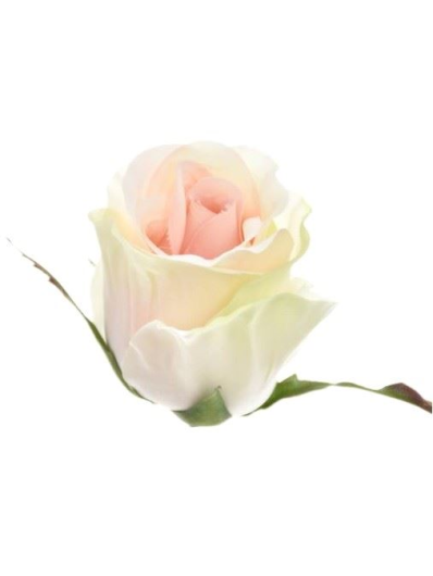 RÓŻA W PĄKU GŁÓWKA 6CM SUN412 LT GREEN LT PINK