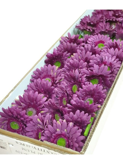 GERBERA POJEDYNCZY 47CM  SUN529 PLUM