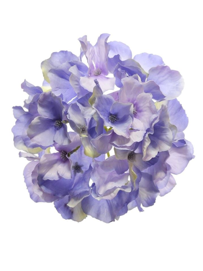 Hortensja główka 15cm sun644 violet