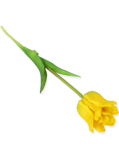 TULIPAN GUMA OTWARTY 47CM / 2858 YELLOW