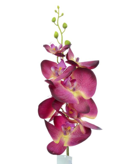Storczyk guma 85cm Aj45598 S1 dk.purple