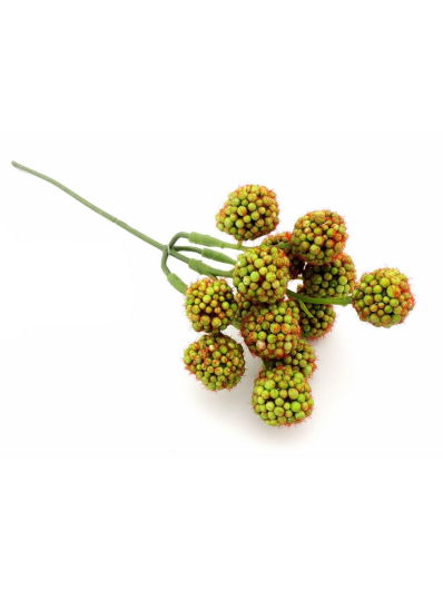 Jeżyny Blackberry pick 19cm  Green