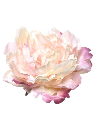 PEONIA GŁOWA 17CM ART060 PEARL PINK EDGE BEAUTY