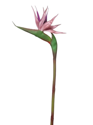 STRELICJA POJEDYNCZA GUMA 80CM MAUVE VIOLET