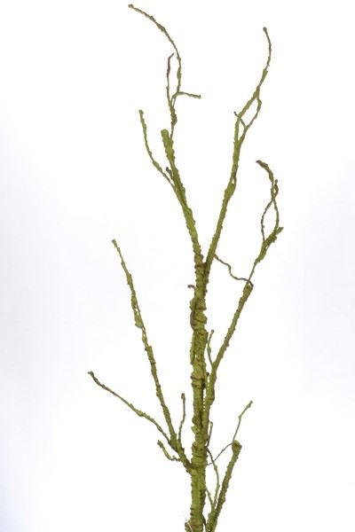 GAŁĄŹ ELASTYCZNA TREE BRANCH 120CM AB87020 GREEN