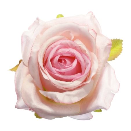 Róża głowa 10cm ly003  20l (pink lt pink)