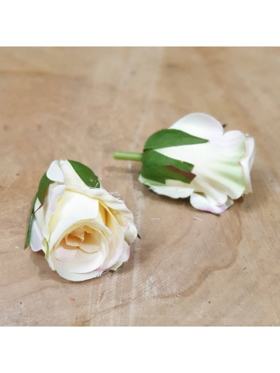 RÓŻA GŁÓWKA PĄK 3CM SUN421 VANILLA PUDDING