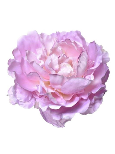 PEONIA GŁOWA 17CM ART060 LT VOLET EDGE VIOLET