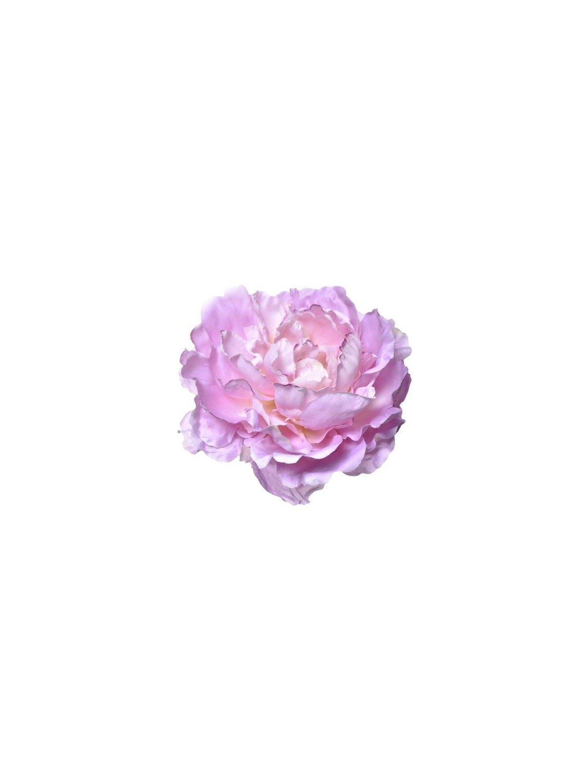 PEONIA GŁOWA 17CM ART060 LT VOLET EDGE VIOLET