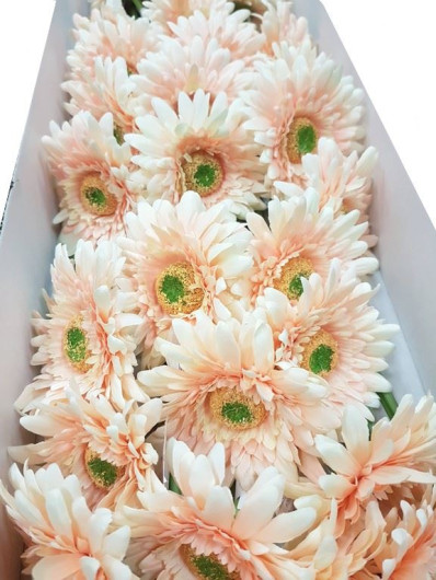 GERBERA POJEDYNCZA 47CM  SUN529 PEACH
