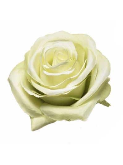 RÓŻA WYROBOWA 8CM SUN385 GREEN