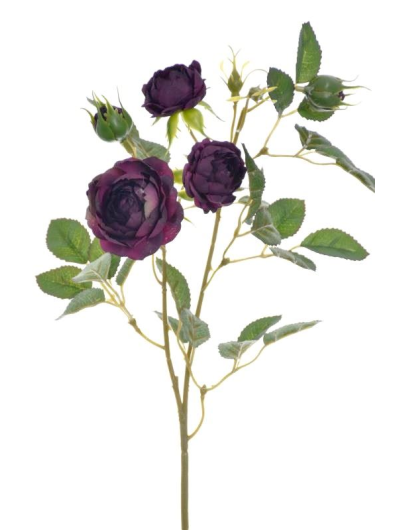 RÓŻA MINI NA GAŁĄZCE 50CM SUN760 PURPLE GREEN