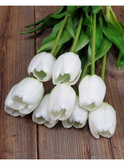 TULIPAN POJEDYNCZY GUMA - NEW 38CM WHITE GREEN