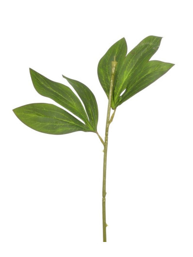 ŁODYGA DO PEONI 38CM SUN731 GREEN