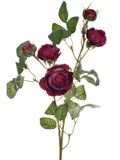 RÓŻA MINI NA GAŁĄZCE 50CM SUN760 DEEP BURGUNDY