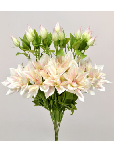 KLEMATIS NA PIKU 48CM SUN500 LT PINK