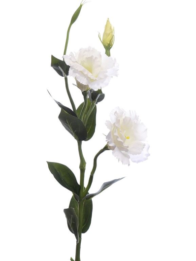 EUSTOMA GAŁĄZKA 64CM SUN377 WHITE