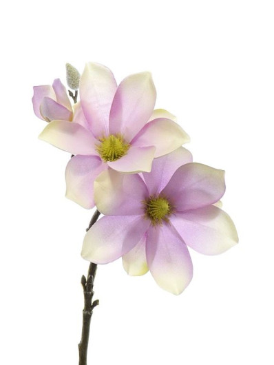 GAŁĄZKA MAGNOLIA SUN488 POWDER PINK/GREEN