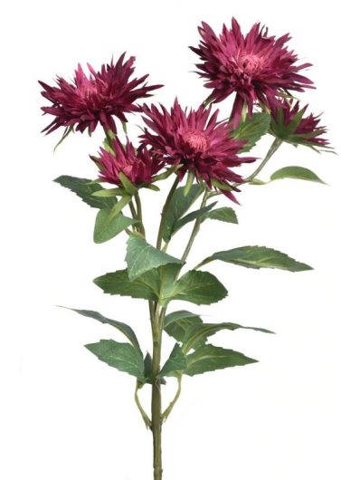 GAŁĄZKA ASTER 70CM SUN662 BURGUNDY