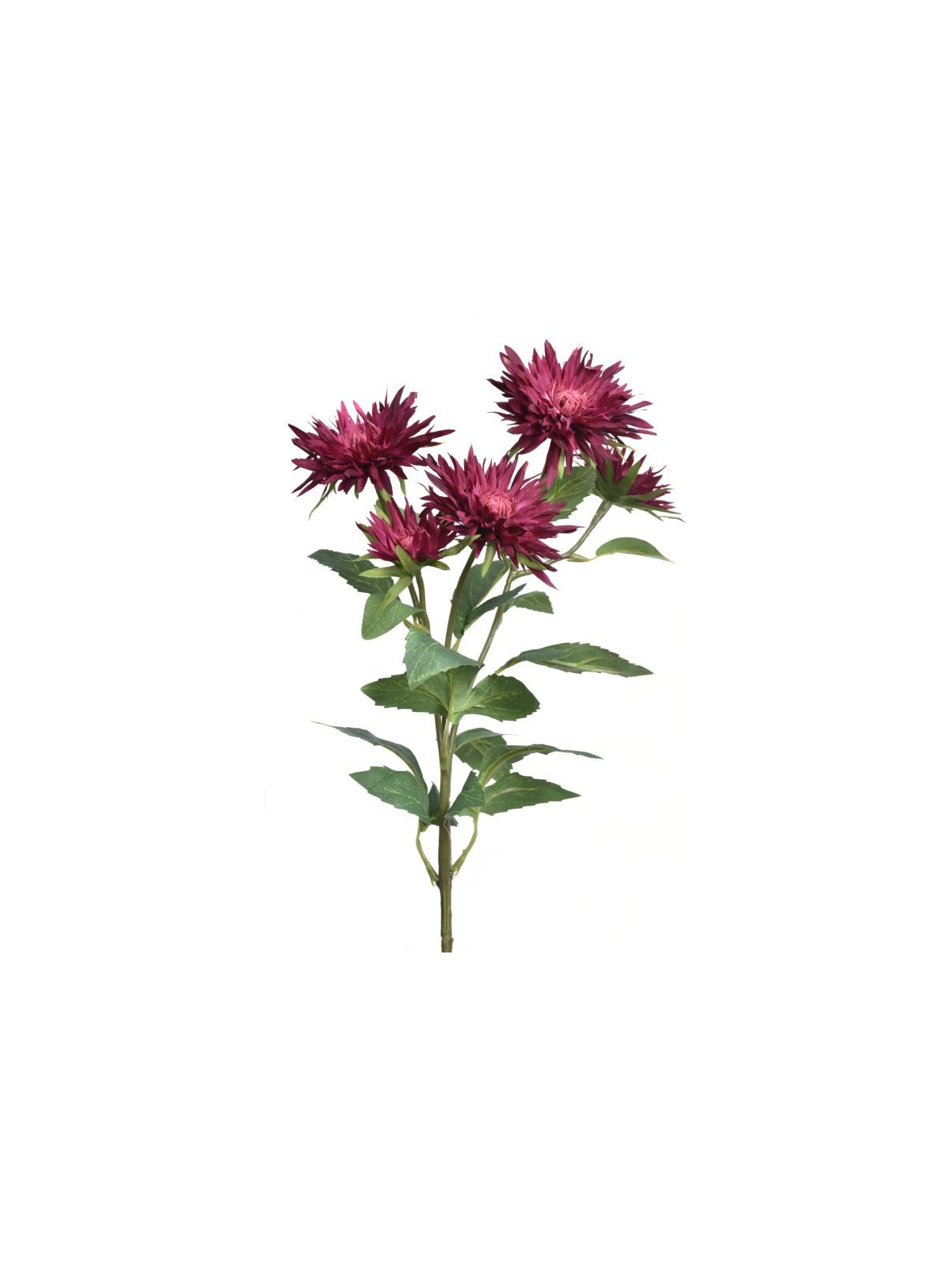 GAŁĄZKA ASTER 70CM SUN662 BURGUNDY