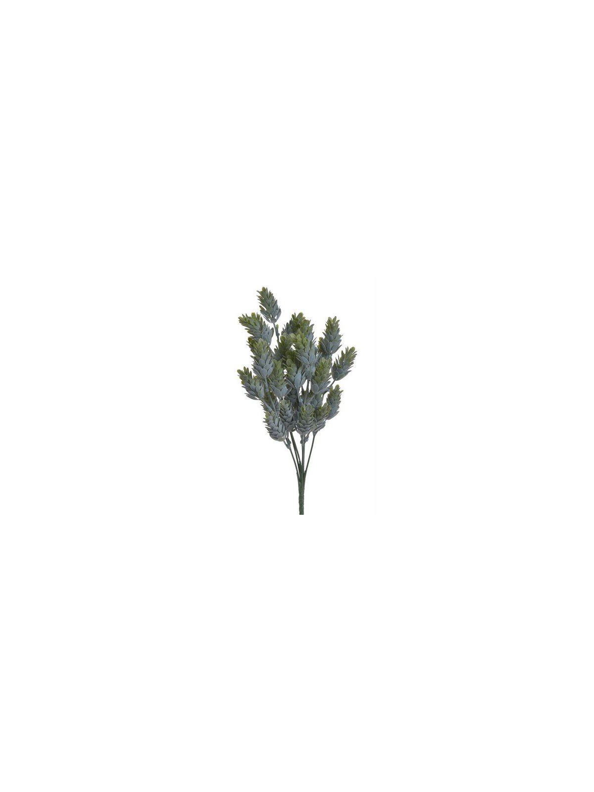 BUKIET SZYSZKI CHMIELU 33CM POWDER GREEN