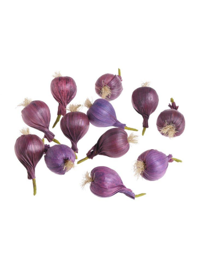 SZTUCZNA CEBULKA 5 CM SIATKA 12SZT VIOLET