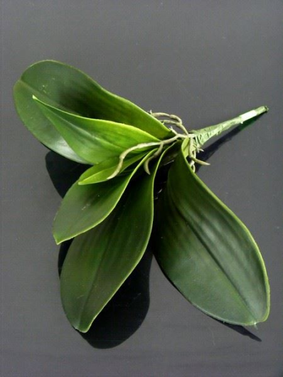 LIŚĆ DO STORCZYKA X 5 LA410B Z-9