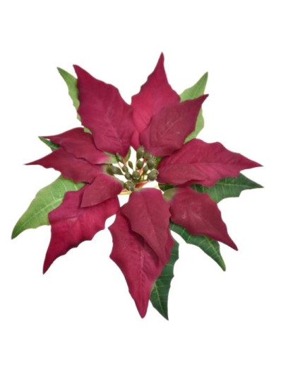 POINSECJA GŁOWA VELVET 17CM SUN715 BURGUNDY