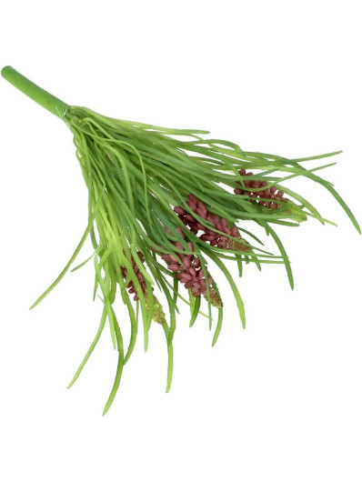 BUKIET SZAFIREK GUMOWY 23CM  / 1956 PURPLE WINE