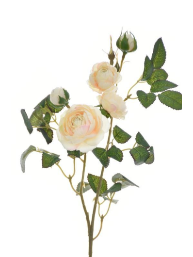 RÓŻA MINI NA GAŁĄZCE 50CM SUN760 PEARL PEACH