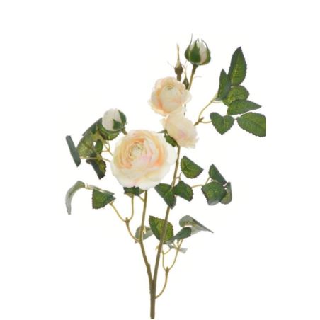 RÓŻA MINI NA GAŁĄZCE 50CM SUN760 PEARL PEACH