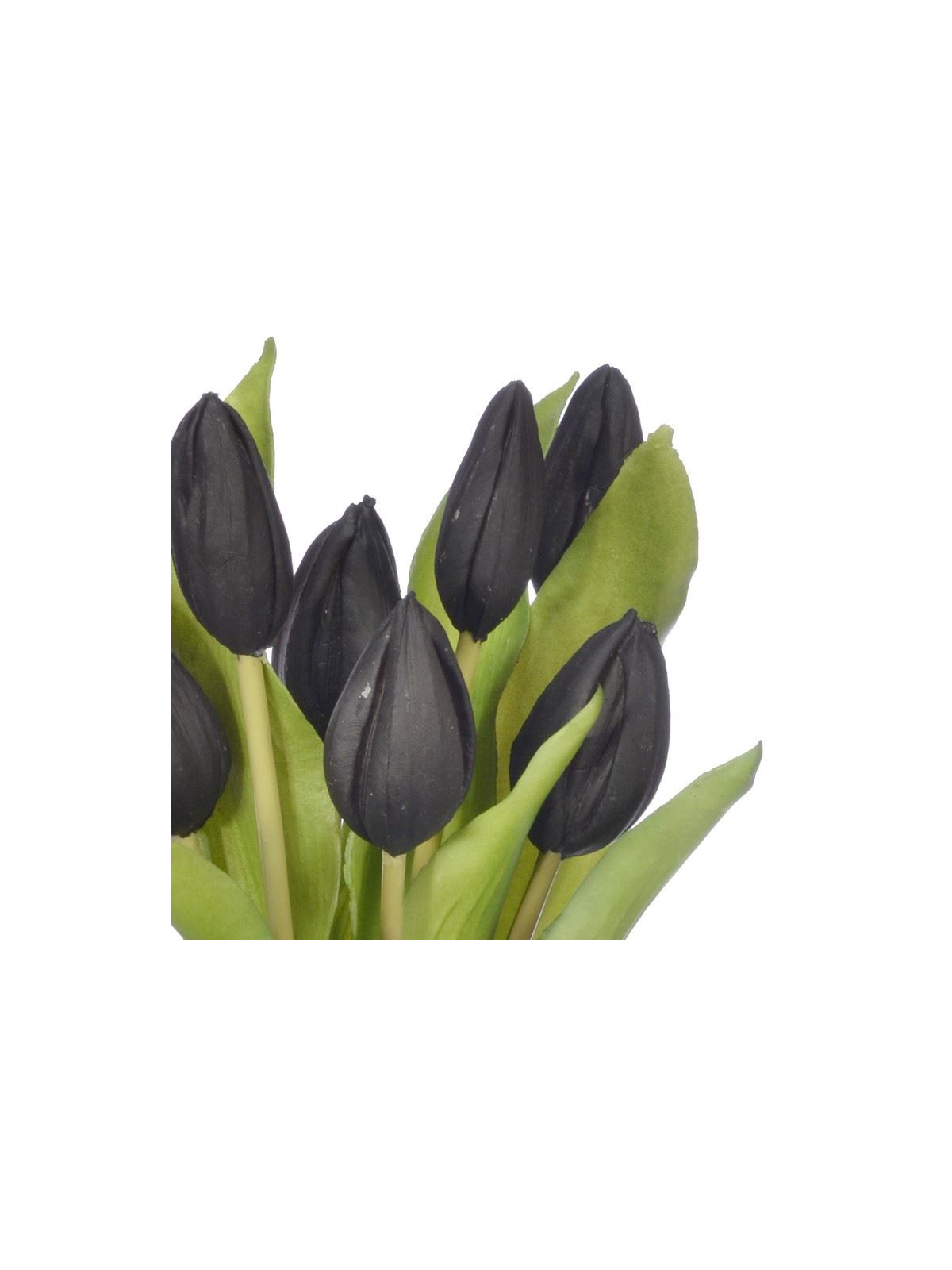 PĘCZEK TULIPANÓW W PĄKU 32CM BLACK
