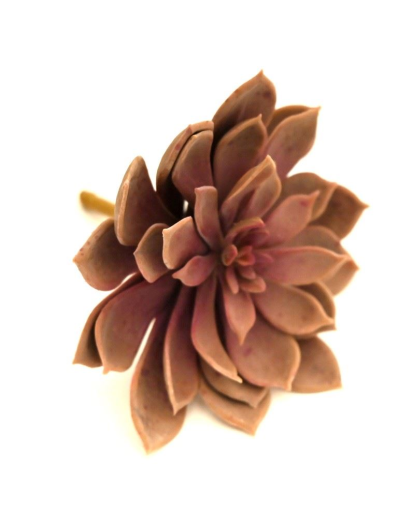 SUKULENT SZTUCZNY GUMOWY 16CMX15CM PURPLE