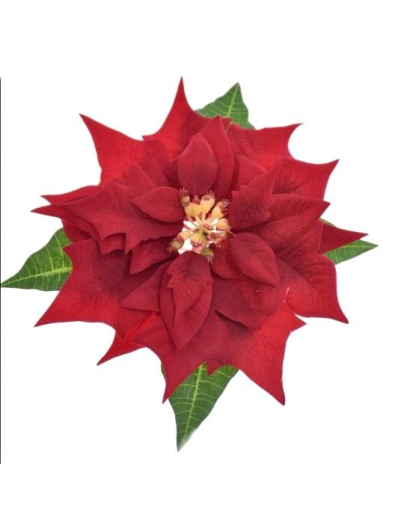 POINSECJA GŁOWA VELVET 18CM SUN714 RUBIN