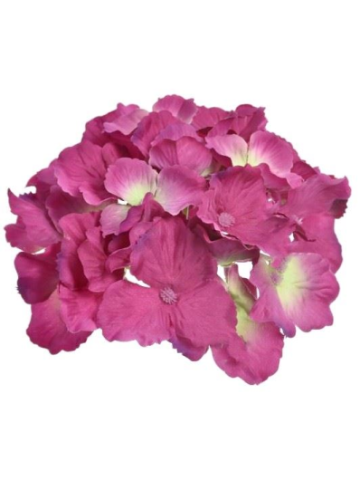 HORTENSJA GŁÓWKA 15CM SUN644 2987 FUCHSIA