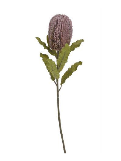 BANKSJA POJEDYNCZA 65CM OLD MAUVE